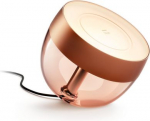 Hue Iris Table Lamp, copper, gen4 EU/UK SE White and color ambiance 929002376803 | 8719514411586