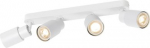 Ceiling-/wall luminaire 1008346 | 4024163293808