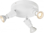 Ceiling-/wall luminaire 1008236 | 4024163294904
