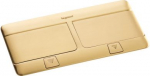 Pop-up box to be equipped - 2 x 4 modules - brushed brass 054018 | 3245060540180