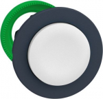 Harmony XB5, Flush mounted push button head, plastic, projecting, white, 30mm, spring return, unmark ZB5FL1 | 3606481340467