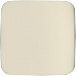 Neutral. For ZETTLER&reg; VarioLine inserts of range 125.xxx. 2CKA001710A2835 | 4011395950906