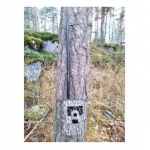 NITEforce Wireless (4G, 3G, 2G) Trail Camera Power Mast Antenna 39cm metsakaameratele aksessuaarid 2-14