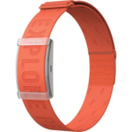 COROS Heart Rate Monitor, Orange aksessuaarid 800619