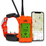 DogTrace DOG GPS X30T set orange collar elektrilised kraed DGP-S-X30T-OR-22-X2