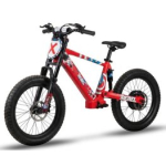 I.M.L. Dirt Bike REBEL 20'', 36V 10Ah 1000W, Red Laste elektritransport IML-REBEL20-RD
