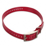1-inch Collar Strap, Red elektrilised kraed 010-11892-02