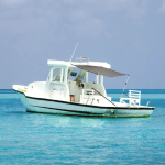 vidaXL t-t&uuml;&uuml;pi varikatuse pikendus 3217200