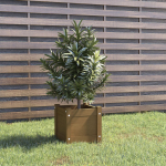 vidaXL taimekast 810528