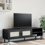 vidaXL TV kapp 358045