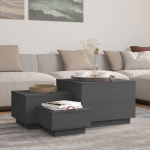 vidaXL hoiukast 818247