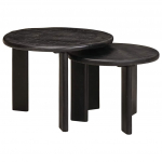 vidaXL Pesitsevad Kohvilaud 4104651