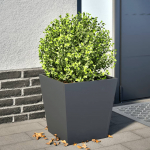 vidaXL aia taimekast 851056