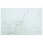 vidaXL lauaplaat 322259