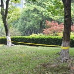 vidaXL slackline 142667