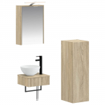 vidaXL Kaasaegne Vannitoa Kapp 3407369