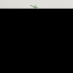 vidaXL seinale kinnitatav telerikapp 816674