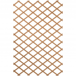 Nature aiav&otilde;re 419779