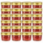 vidaXL klaasist moosipurk 50795