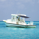 vidaXL t-t&uuml;&uuml;pi varikatuse pikendus 3217199