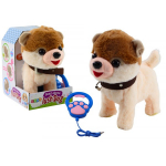 LEAN Toys Interactive Dog on a Leash Walks Dances Sings White and Beige