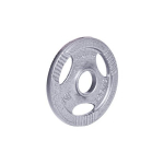 Insportline Cast Iron Plate Hamerton 1.25 kg