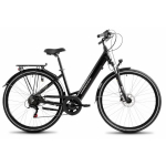 Romet Electric bike ProEco Wave AN 1.0 R 504Wh 17" graphite-silver
