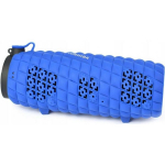 Toshiba TY-WSP80 Blue