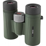 KOWA BDII-XD 8X32 WA