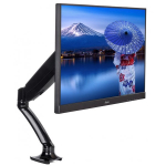 Iiyama DS3001C-B1 Black
