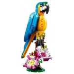 Lego Exotic Parrot 31136