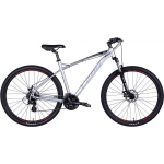 Leon 29" TN-90 DD frame-20" Grey-Black / Red 2024