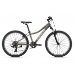 Giant XTC Jr 24 Metal XS