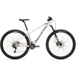 Rock Machine Torrent 50-29 29x19" (L) Gloss Silver/ Black