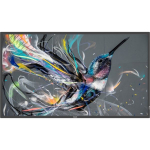 Philips Q-Line 32BDL3511Q/ 00 32" VA 16:9
