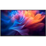 Dell P2725H 27" IPS 16:9 (Without Stand) 210-BMGD