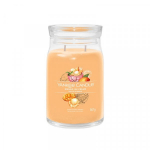 Yankee Candle Signature Mango Ice Cream U 567