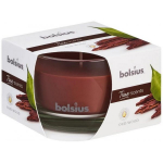 Bolsius Candle Agar &Oslash;9x6.3cm