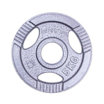 Insportline Olympic Cast Iron Plate Hamerton 5 kg