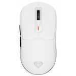 Genesis Zircon 660 White