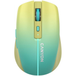 Canyon MW-44 Yellow/ Blue