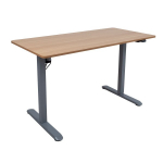 Evelekt Desk ERGO LIGHT with 1 motor 120x60cm, silver grey/ oak