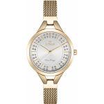 G.Rossi Laspeza 12110B-3D1 Gold