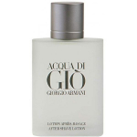 Giorgio Armani Acqua di Gio 100 ml