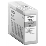 Epson T850700 Hele must
