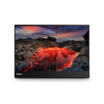 Lenovo ThinkVision M14t
