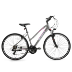 BISAN City bike TRX8200 grey/ pink S