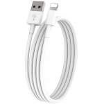 EGA D1 Lightning 1m White