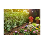 Gardena Gardena Micro-Drip-System Pflanzenreihe S Starter Kit (13010)