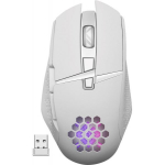 Defender Glory GM-514 White